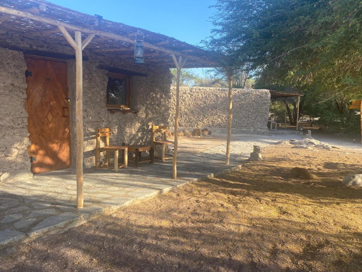 فيلا La Huaicaفي El Huarango Eco Retreat المظهر الخارجي الصورة