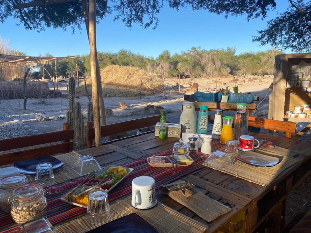 فيلا La Huaicaفي El Huarango Eco Retreat المظهر الخارجي الصورة