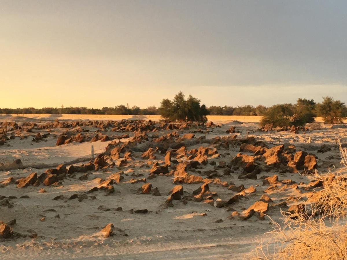 فيلا La Huaicaفي El Huarango Eco Retreat المظهر الخارجي الصورة